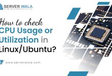 How to Check CPU Usage or Utilization in Linux/Ubuntu?