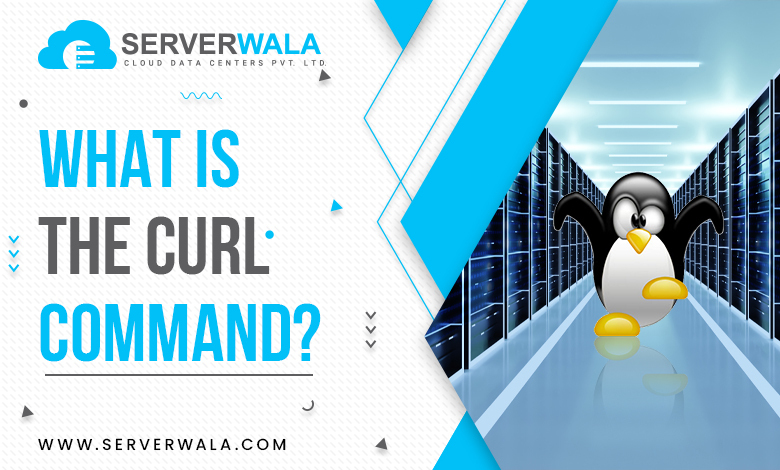 What is the Curl Command?