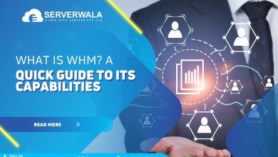 What is WHM? A Quick Guide To its Capabilities
