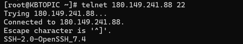 Key Components of the Telnet Command