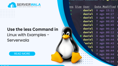 Use the less Command in Linux with Examples