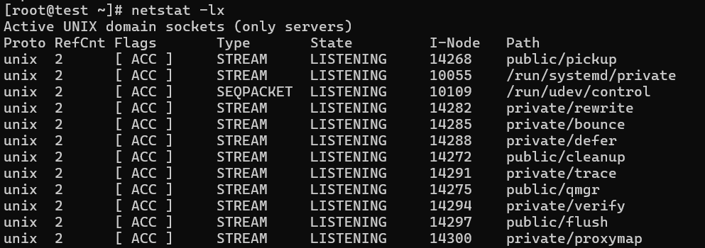 List of Netstat Commands with examples