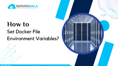 Set Docker File Environment Variables