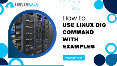 Linux Dig Command with Examples