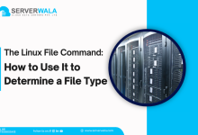 The Linux File Command