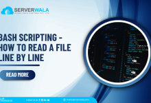 Bash Scripting - How to read a file line by line