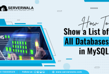 How To Show a List of All Databases in MySQL